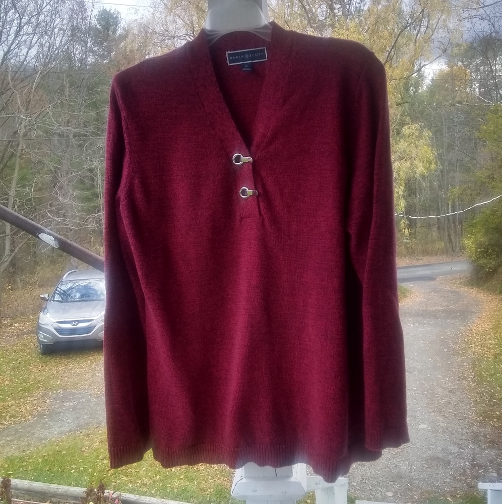 Karen Scott Red V-neck Sweater